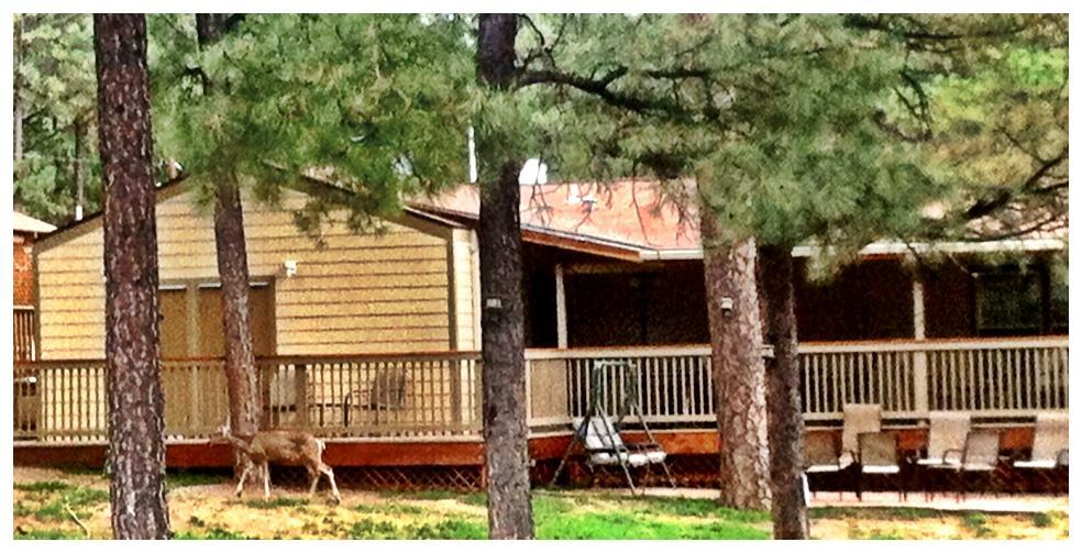 Village Lodge Ruidoso Dış mekan fotoğraf